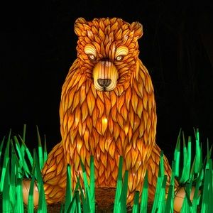 Meet your Posher, Robbie